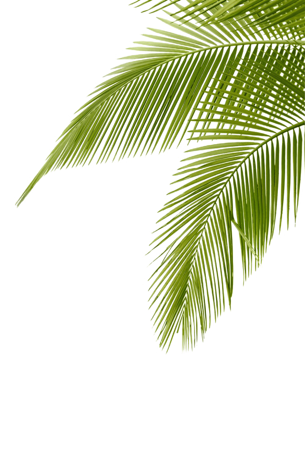 Rubber Floor Mats in Alappuzha Kerala